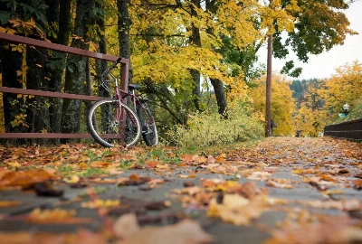 Road Trips from Fort Nelson: Discovering Breathtaking Scenery and Hidden Gems