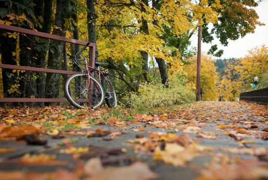 Road Trips from Fort Nelson: Discovering Breathtaking Scenery and Hidden Gems