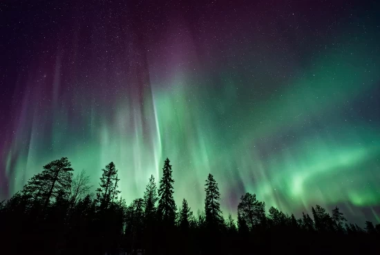 Unforgettable Adventures: Top Attractions and Activities in Fort Nelson, BC